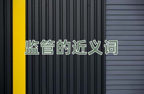 监管的近义词