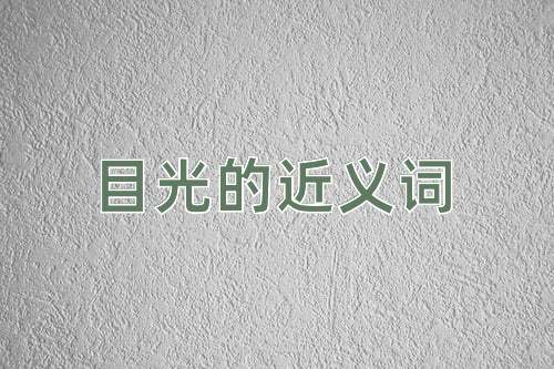目光的近义词