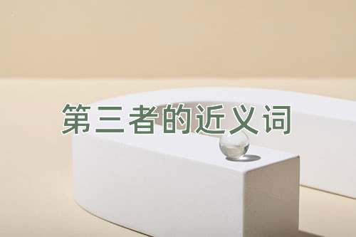 第三者的近义词