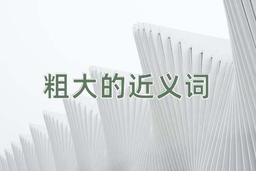 粗大的近义词