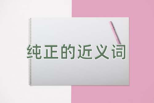 纯正的近义词