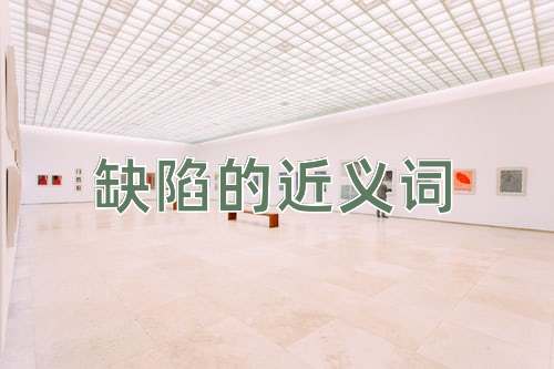 缺陷的近义词