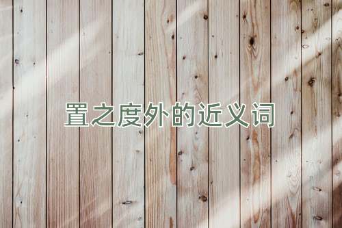 置之度外的近义词