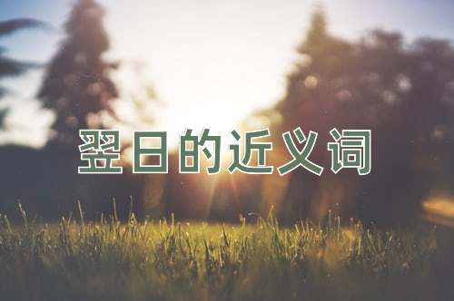 翌日的近义词