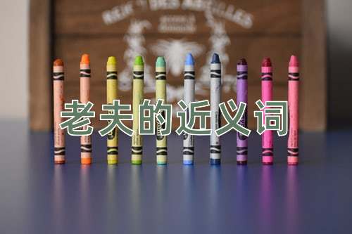 老夫的近义词