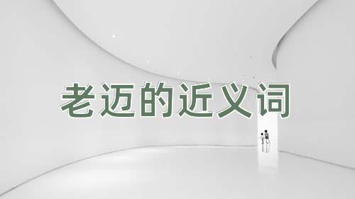 老迈的近义词