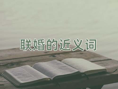 联婚的近义词