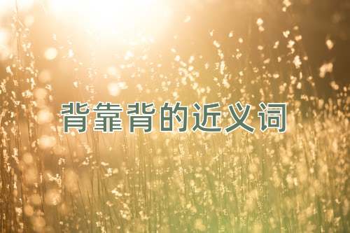 背靠背的近义词