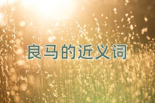 良马的近义词