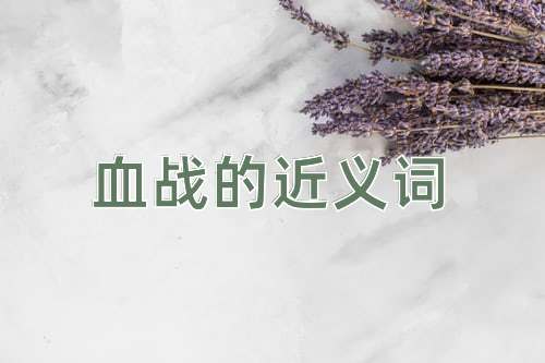 血战的近义词