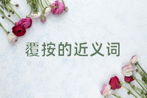 覆按的近义词