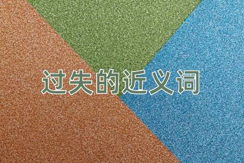 过失的近义词