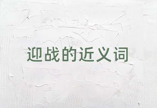 迎战的近义词