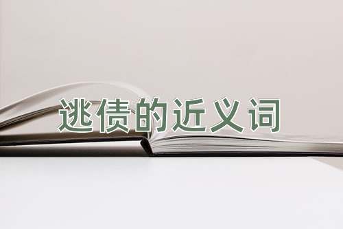 逃债的近义词