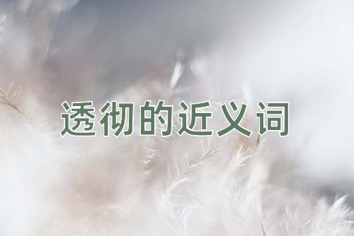 透彻的近义词