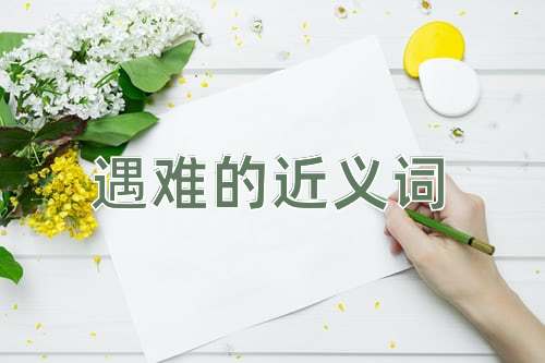 遇难的近义词