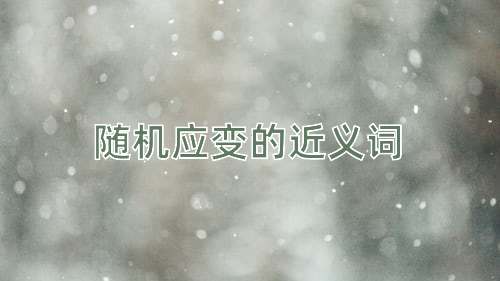 随机应变的近义词