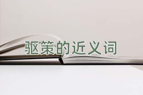 驱策的近义词
