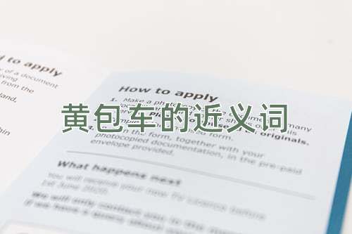 黄包车的近义词