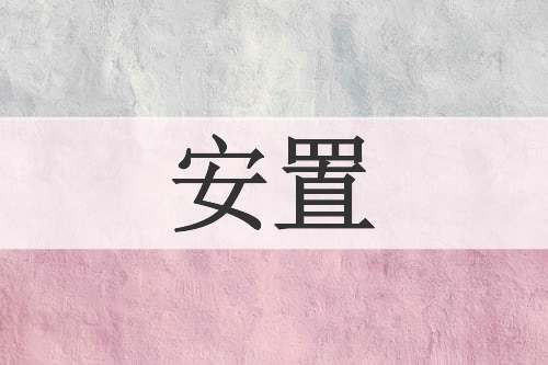 安置