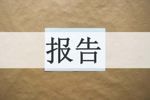 报告