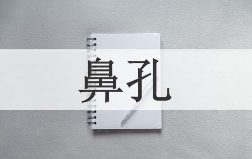 鼻孔