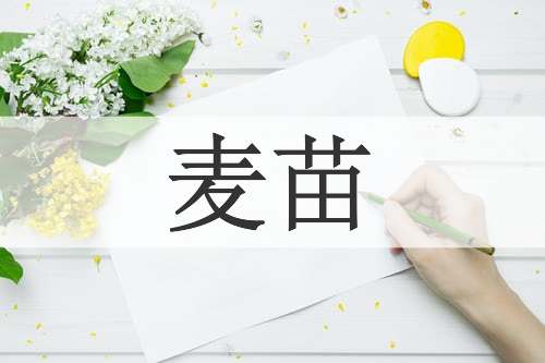 麦苗