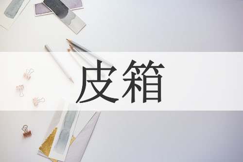 皮箱