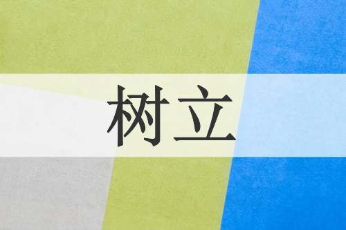 树立