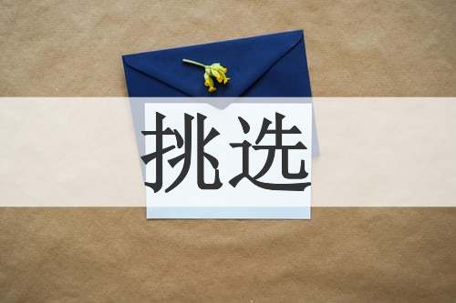挑选