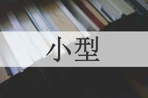 小型