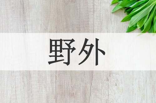 野外