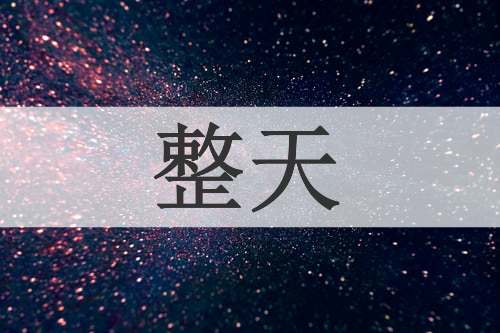 整天
