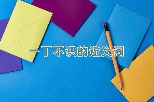 一丁不识的近义词
