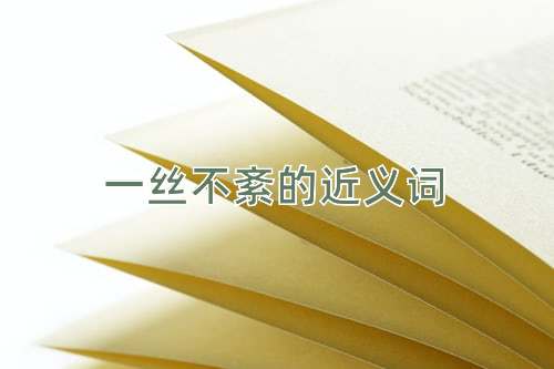 一丝不紊的近义词