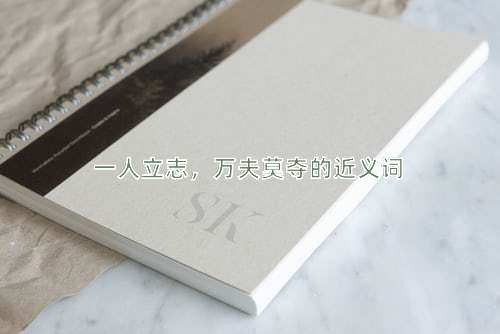 一人立志，万夫莫夺的近义词