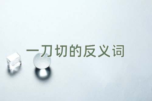 一刀切的反义词