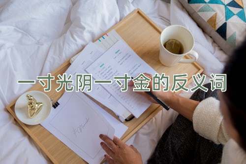 一寸光阴一寸金的反义词