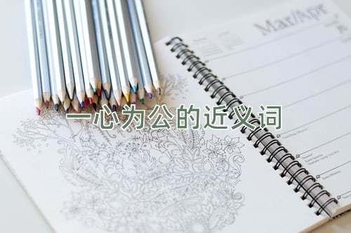 一心为公的近义词