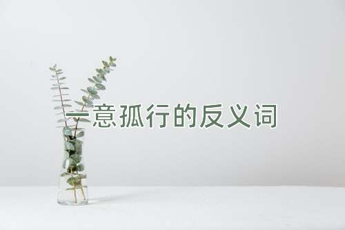 一意孤行的反义词