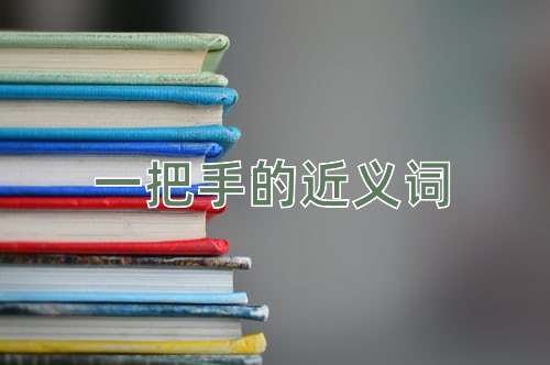 一把手的近义词