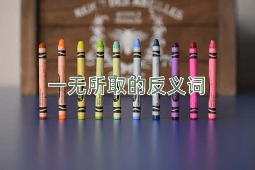一无所取的反义词