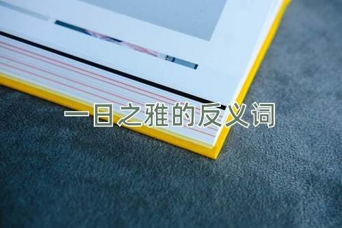 一日之雅的反义词