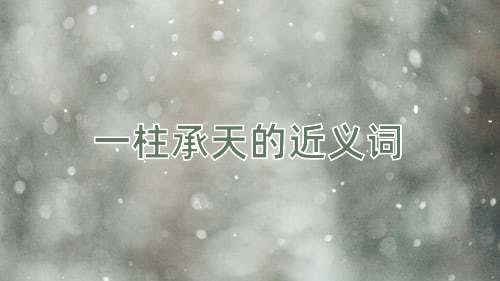 一柱承天的近义词