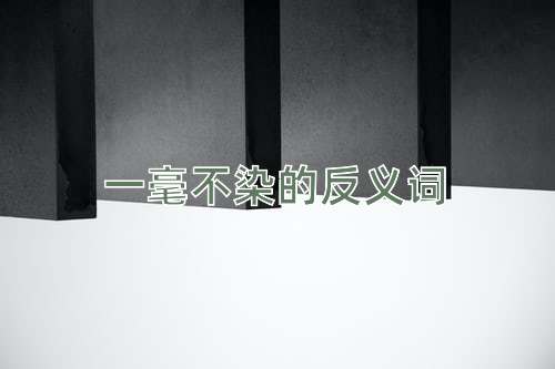 一毫不染的反义词