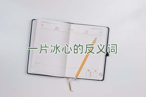 一片冰心的反义词