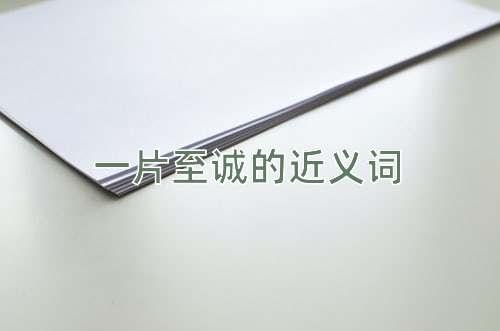 一片至诚的近义词