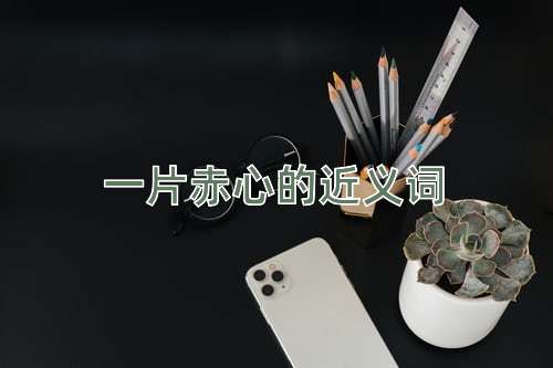 一片赤心的近义词