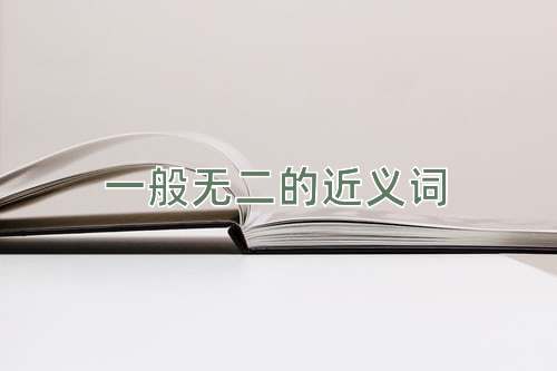 一般无二的近义词