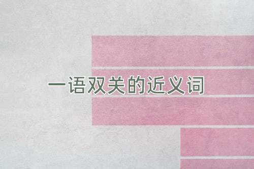 一语双关的近义词